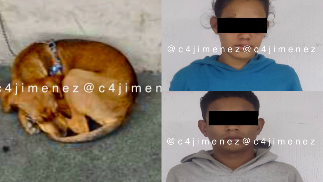 Arrestan-a-2-venezolanos-tras-apalear-a-perro-en-la-Cuauhtemoc.jpg