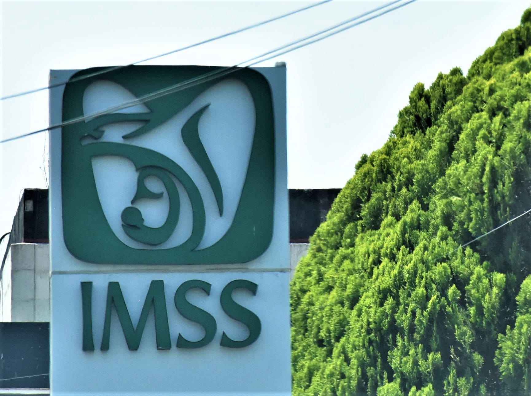 IMSS-1.jpg